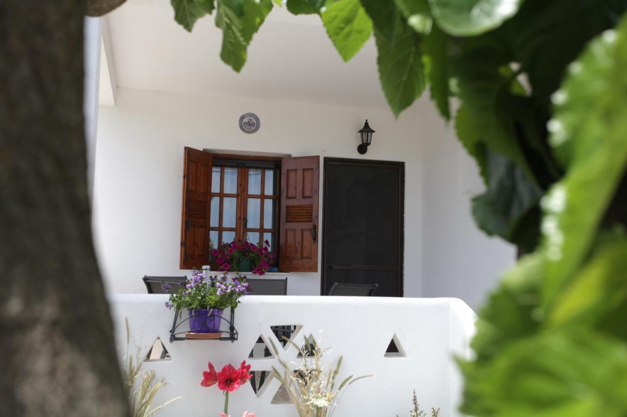 Athena'S Houses Skyros Ngoại thất bức ảnh