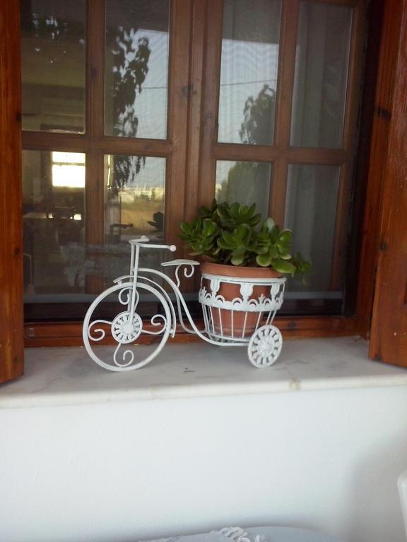 Athena'S Houses Skyros Ngoại thất bức ảnh