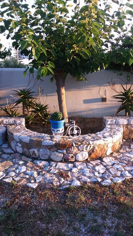 Athena'S Houses Skyros Ngoại thất bức ảnh
