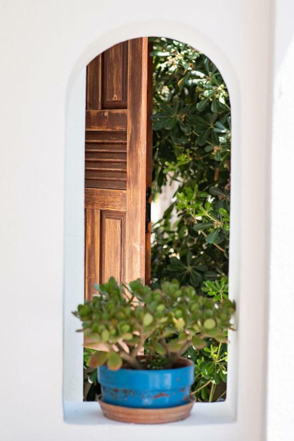 Athena'S Houses Skyros Ngoại thất bức ảnh